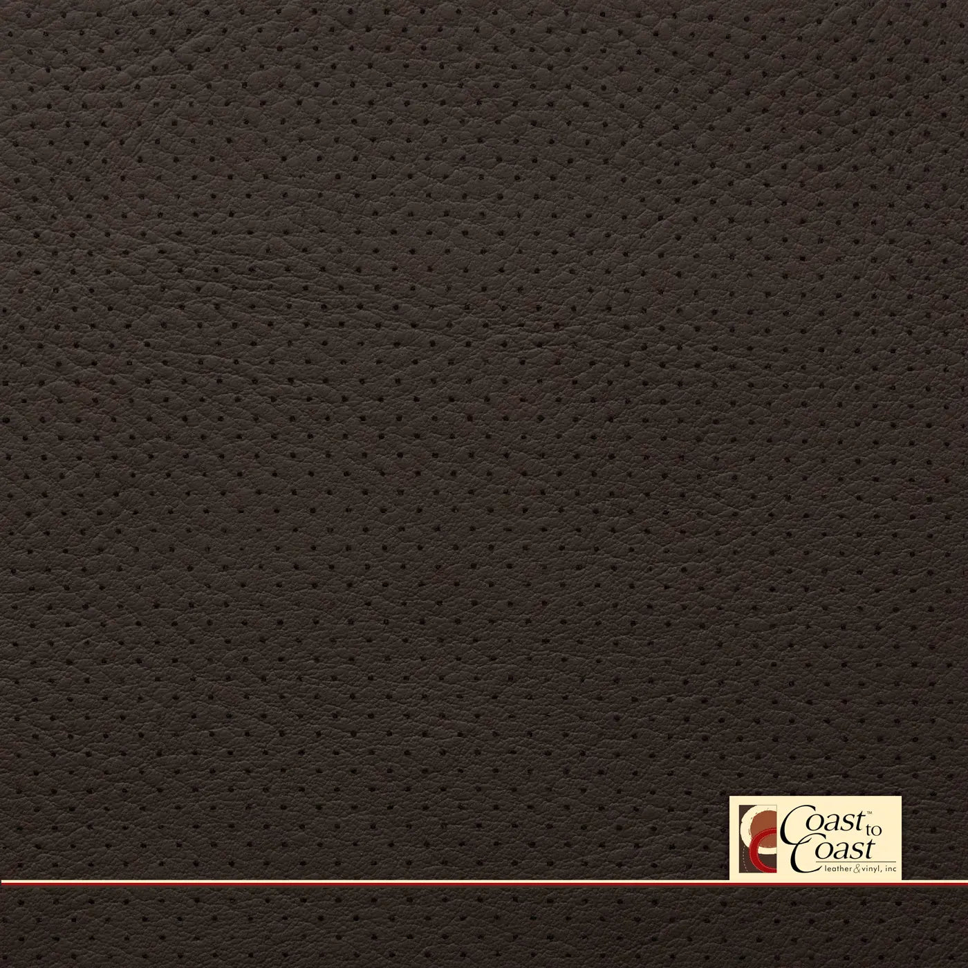 Ford Mesa Antique Effect Full Hide / Mini Perf (1/8In) Leather